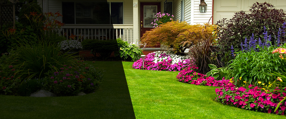 Altamont Landscapers
