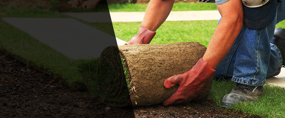 Altamont Landscapers